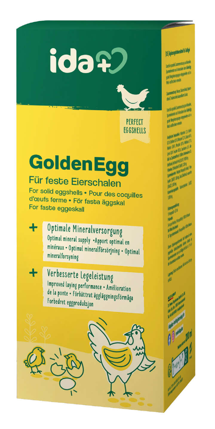 ida plus GoldenEgg